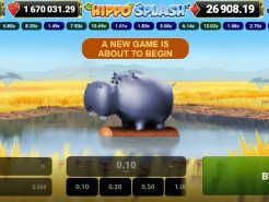 Hippo Splash