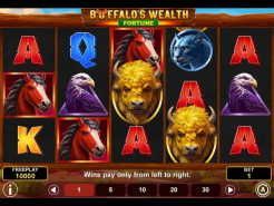 Buffalo's Wealth Fortune